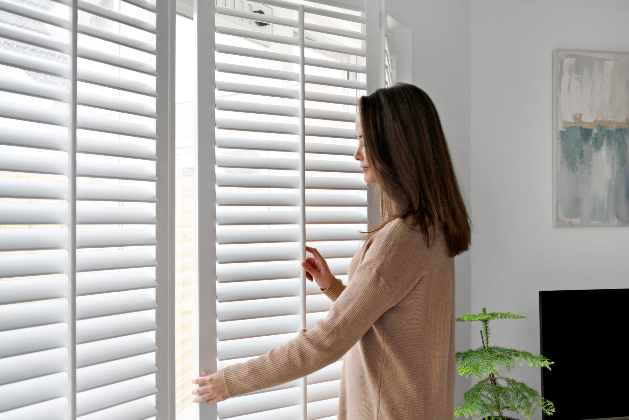 How to Clean Shutters